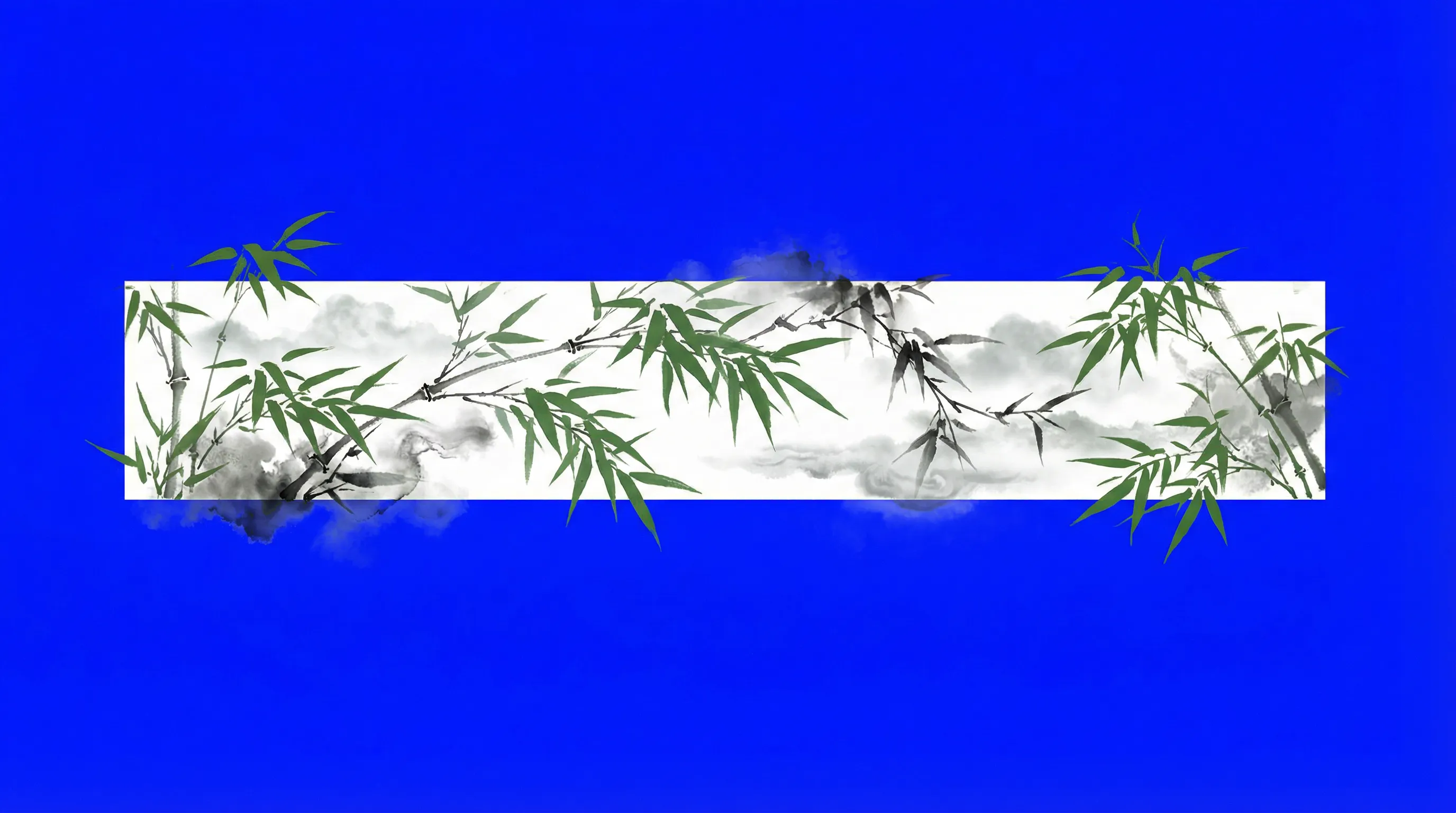 星空体育藤球页面背景